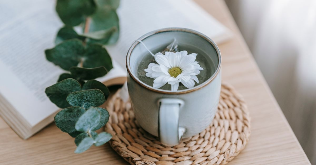 Rituels de tisanes au quotidien : la pause bien‑être qui change tout