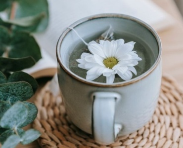 Rituels de tisanes au quotidien : la pause bien‑être qui change tout