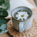 Rituels de tisanes au quotidien : la pause bien‑être qui change tout