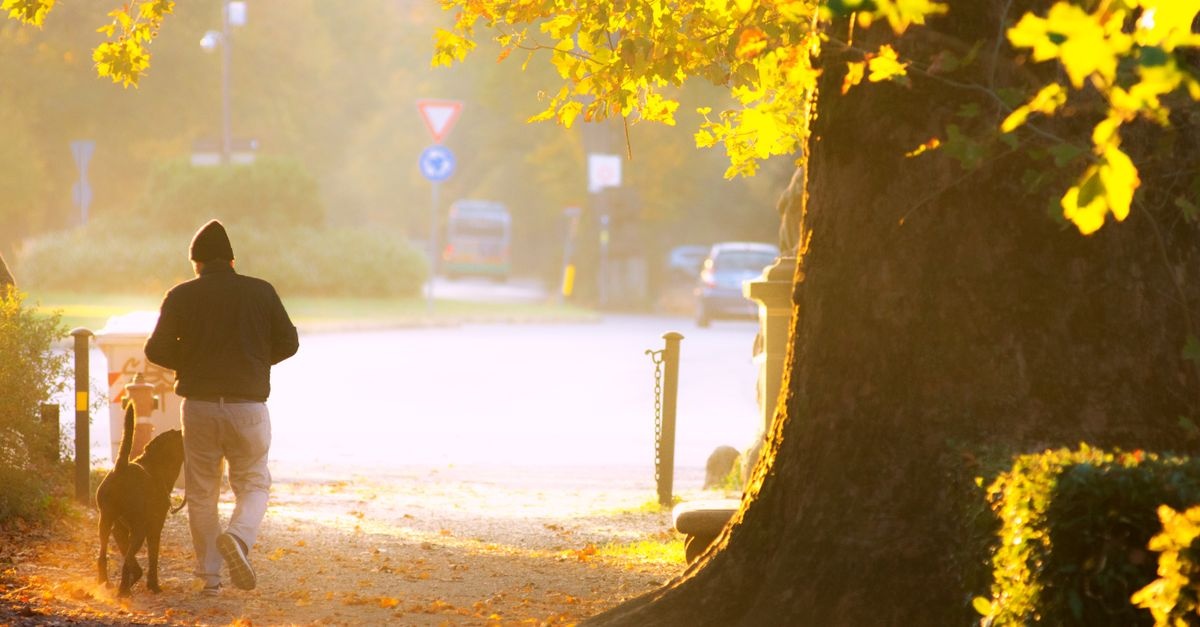 Réveillez votre énergie : les bienfaits d’une promenade matinale
