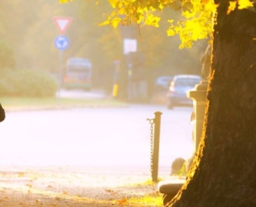Réveillez votre énergie : les bienfaits d’une promenade matinale