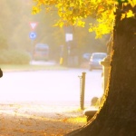 Réveillez votre énergie : les bienfaits d’une promenade matinale